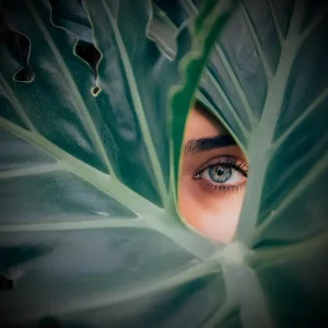 Peppermint Digital Agency Wales - Our Work - HEAL Therapy Courses